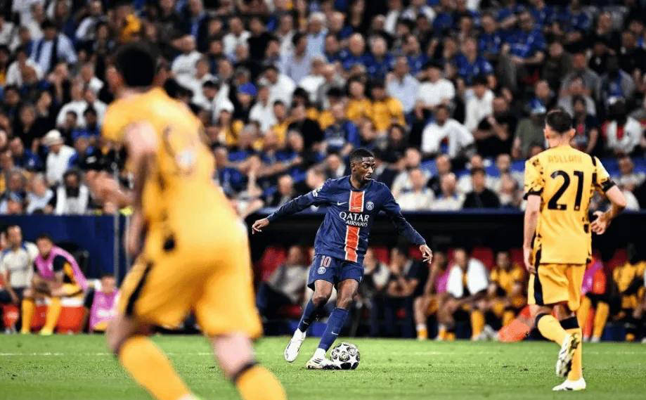 他们的生活 他们的生活