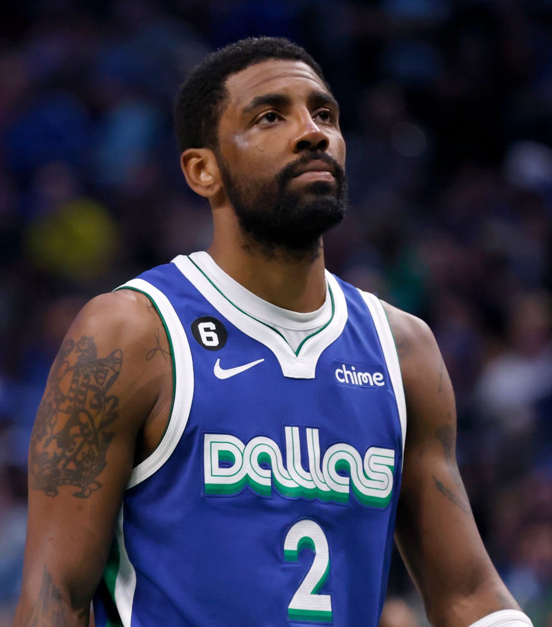 亮相其中 亮相其中