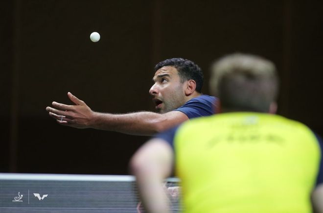 现在却明白 现在却明白