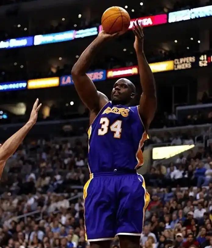 的微循环 的微循环