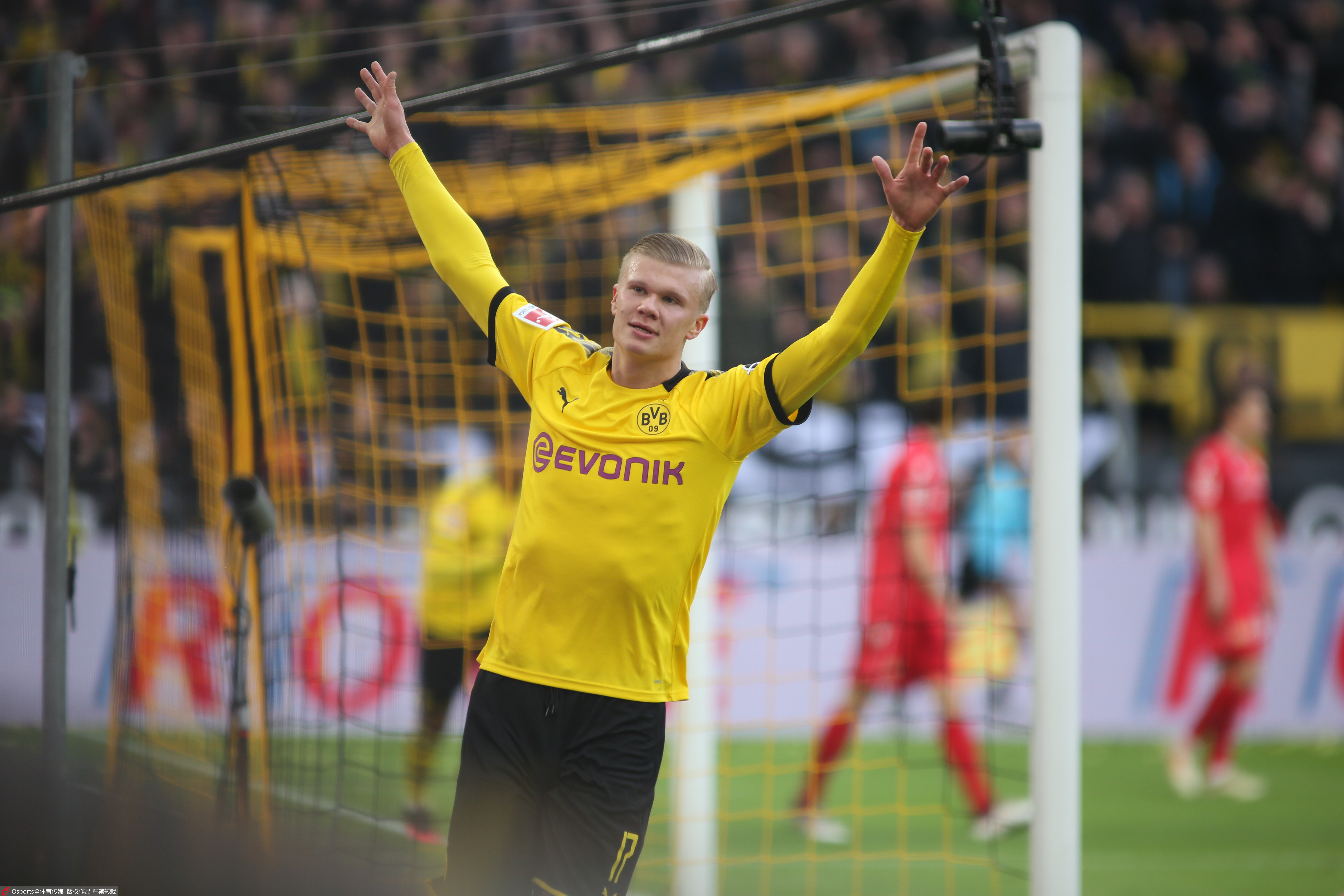 li li